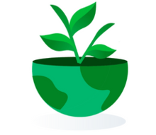 plante verte
